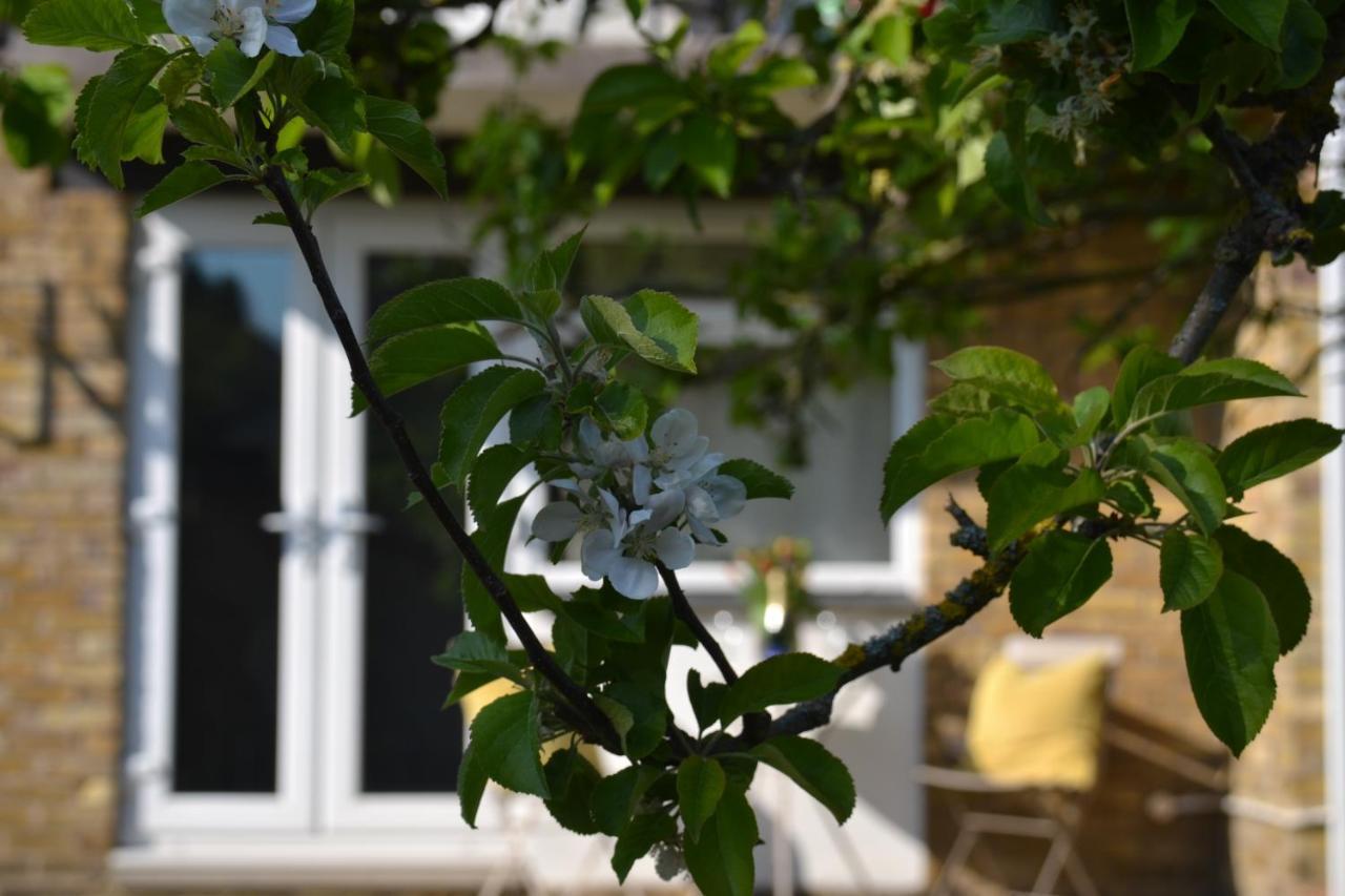 Epicsa - Family & Corporate Stay Mews Apartments With Free Parking CBG Exteriör bild